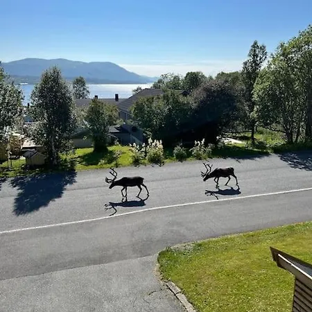 Apartment Cosy Close To Tromso Airport Kvaloysletta